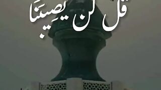 القران_الكريم القران_الكريم