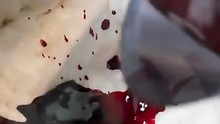 Proses pembuatan Roti Semangka