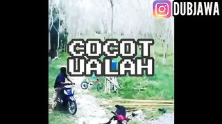 Parody dubbing durian fruit