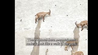 سبحان الله