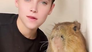 Feeding a capy bara.