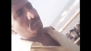 Pondychery bich