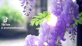 حديث عظيم رواه البخاري ومسلم