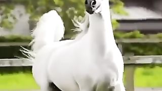 في مواقف عامله زي القهوه طعمها مر بس بتفوقك وتخليك تصحصح ✌️
