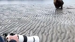 Funny Video ????????????