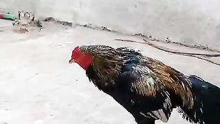 Eating something I don't know