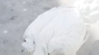 S video may