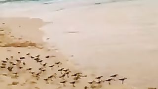 حياتي