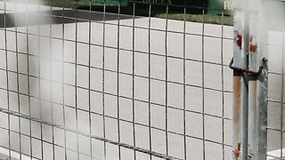 #f1 sport