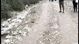 سحر جمال غابات الجزائر
