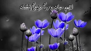 القران_الكريم