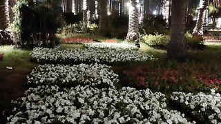 Montazah Gardens