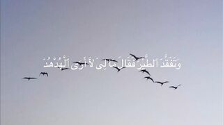 القرءان الكريم بصوت القارئ ياسر الدوسري
