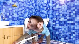 يذهب Monkey Baby Bon Bon القرد إلى المرحاض ويلعب مع فراخ البط في حوض السباحة