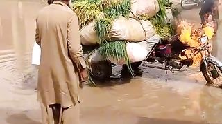 Video .fanny .movie.hd.tik.