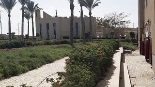 Waha salkon2