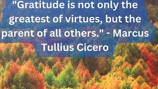 Immortal Words