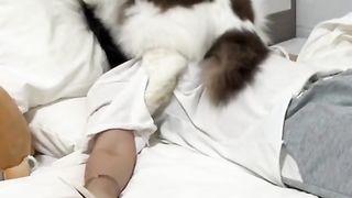The cat found a great place to relax