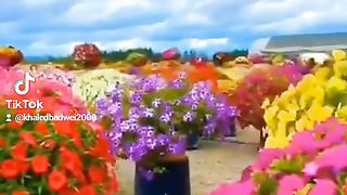 القران_الكريم