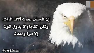 حكم واقوال عن الشجاعة والرجولة | ستودع الخوف بعد سماعك هذا الحكم