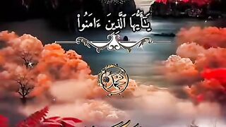 القران_الكريم