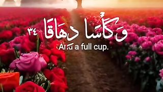 القران_الكريم