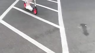 #funny