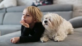 TV Time Tails: Blond Toddler and Maltese Make Movie Magic