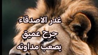 غدر الاصدقاء
