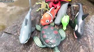 Sea Animal Toys This Summer at the Shore