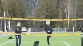Puppies play Volleyball so well????