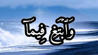 القران_الكريم