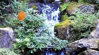 القران_الكريم #225#