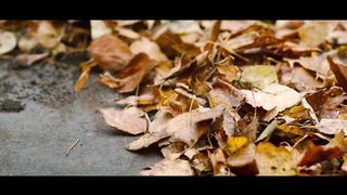 Юра дворник - Русский трейлер