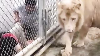 قول لله أكبر