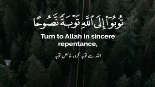 يا ايها الذين امنوا توبوا الى الله توبة نصوحا #سورة _التحريم