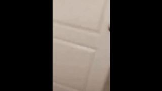 Funny animals cats and dogs 2024