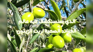 5 فوائد رائعة لزيت الزيتون(الاكثر طلبا)