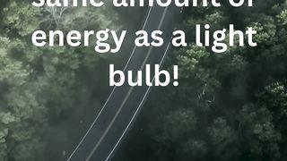 Fun Facts (1)