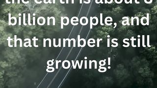 Fun Facts