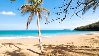 Beautiful beach, blue water and palm trees