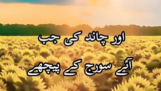قرءان