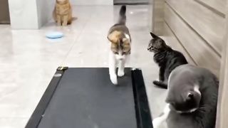 Busy day at the gym..????????????