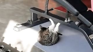 Busy day at the gym..