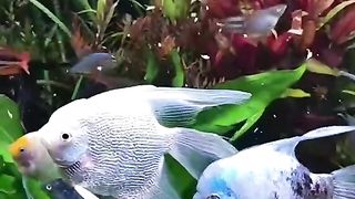 القران_الكريم