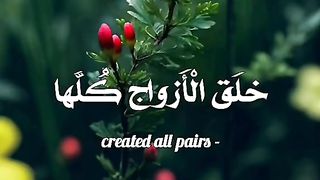 القران_الكريم