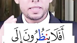 افلاينظرون
