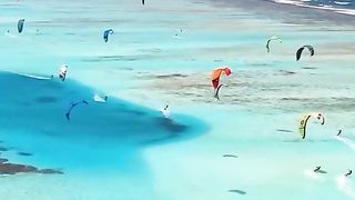 Nature is incredible ...