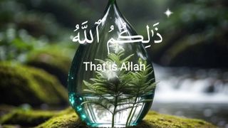 فرآن كريم