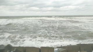 white sea
